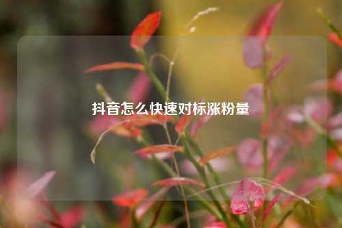 抖音怎么快速对标涨粉量