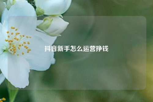 抖音新手怎么运营挣钱