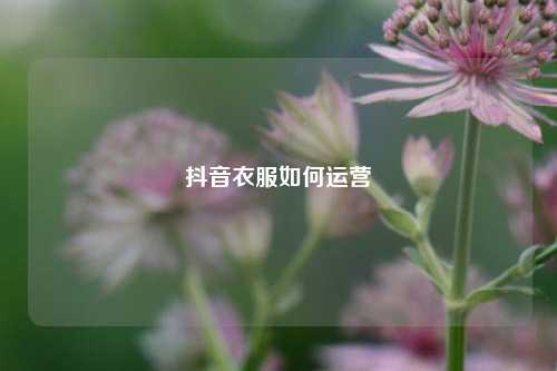 抖音衣服如何运营