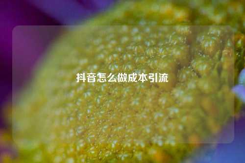 抖音怎么做成本引流