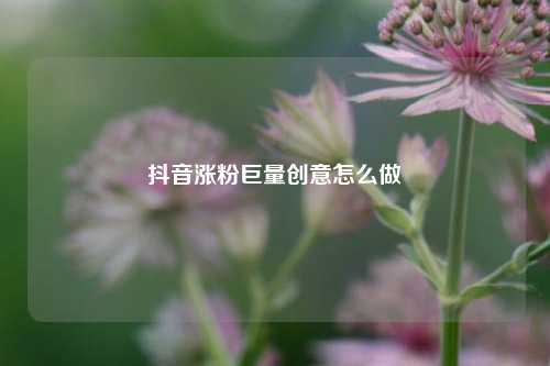 抖音涨粉巨量创意怎么做