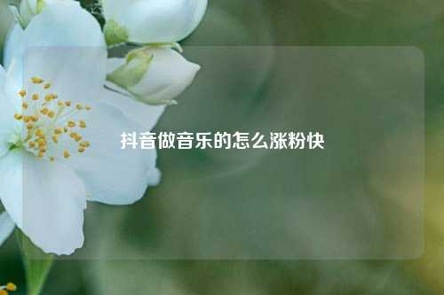 抖音做音乐的怎么涨粉快