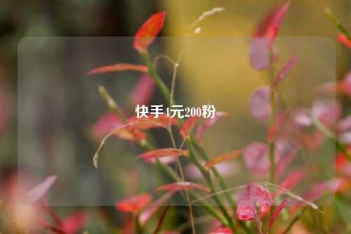 快手4元200粉