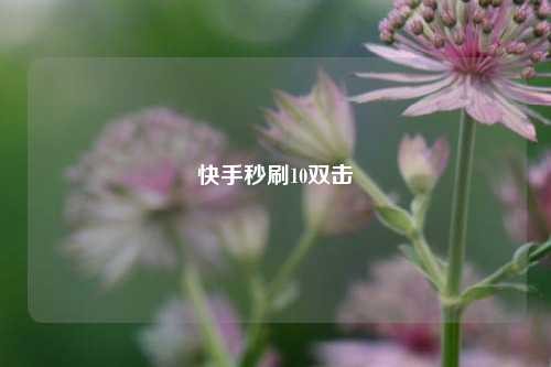 快手秒刷10双击