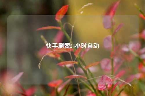 快手刷赞24小时自动