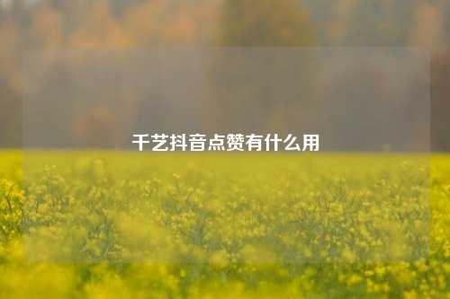 千艺抖音点赞有什么用
