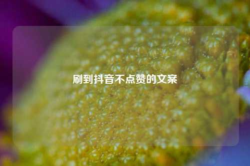 刷到抖音不点赞的文案