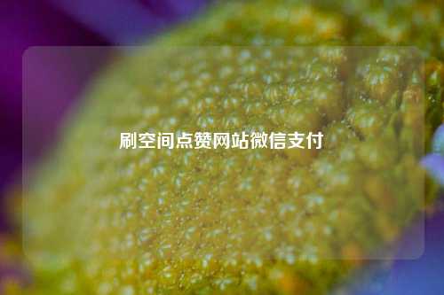 刷空间点赞网站微信支付