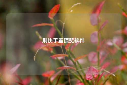 刷快手置顶赞软件