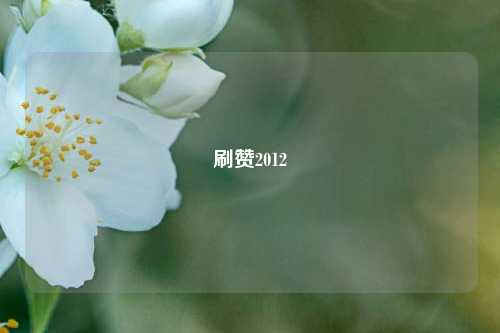 刷赞2012