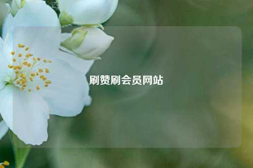 刷赞刷会员网站
