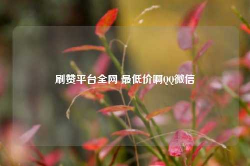 刷赞平台全网 最低价啊QQ微信