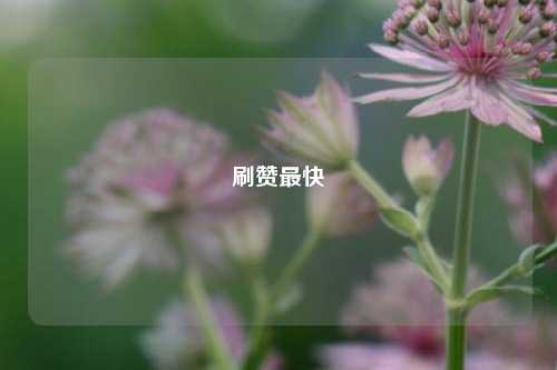 刷赞最快