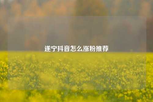 遂宁抖音怎么涨粉推荐