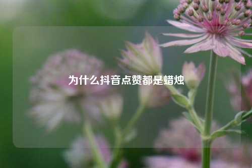 为什么抖音点赞都是蜡烛
